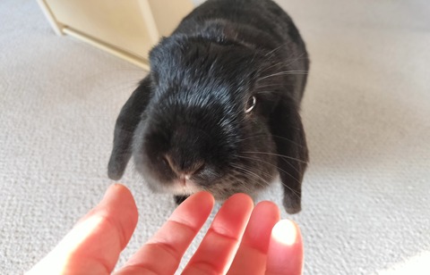 47E6B4C1-E7A5-40F0-BF3D-113FD4C0A52B