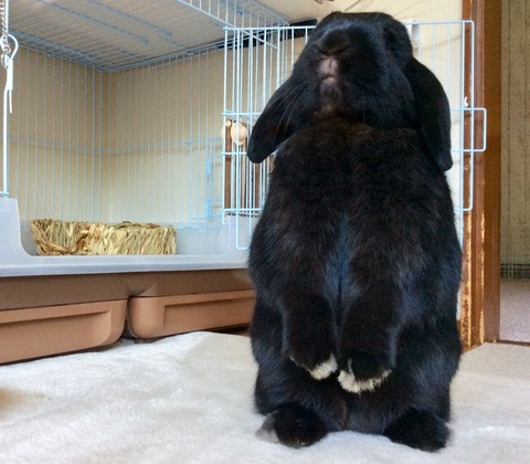 8BE7C4CB-1500-43A6-9270-E87B9132D183