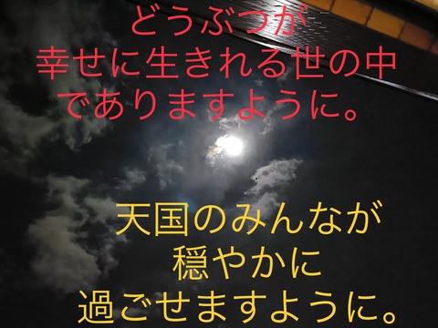 746730BE-2EFC-4057-8AF0-3A1BF28D6DD0