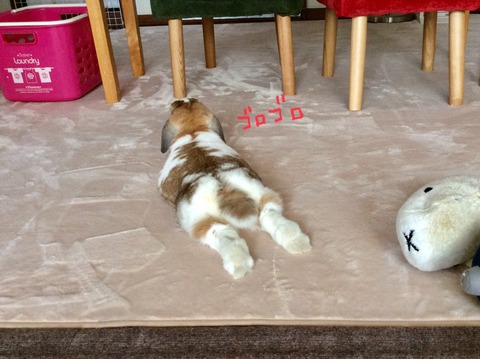 566393E8-9CE4-4538-A35F-71FA0560B860