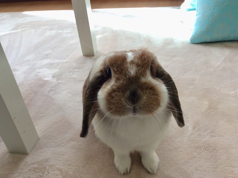 02F6892A-7211-4970-B445-40756CF6298F