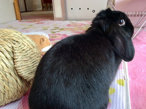 5DC8A9F3-3736-40A3-805B-2541DF6D0273