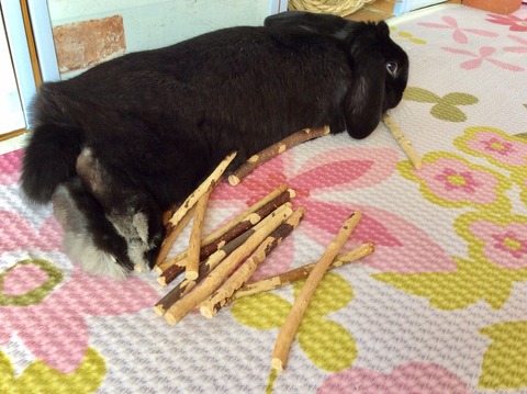 24800DBD-77A2-4139-8C74-5EA4FAE322E7