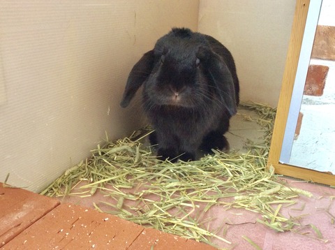 54EFB82A-185E-49E0-97E0-D843426DE610