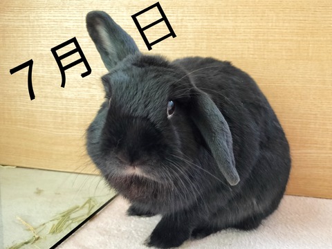 4B8A6EB1-30E9-47D1-B954-0ECE85A044D1