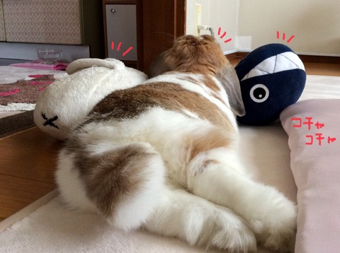 CFA93845-551C-4D15-B429-0FB5240CDB3D