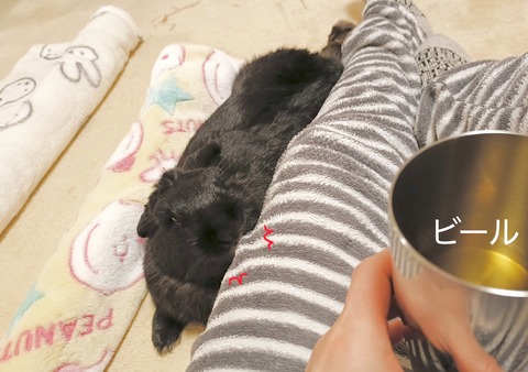 8D13D4B2-0AAF-423B-99BB-B96DF05AC802