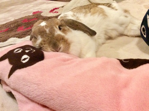 7D99B423-9EA6-4A7D-93AF-DB2F416C2FEA