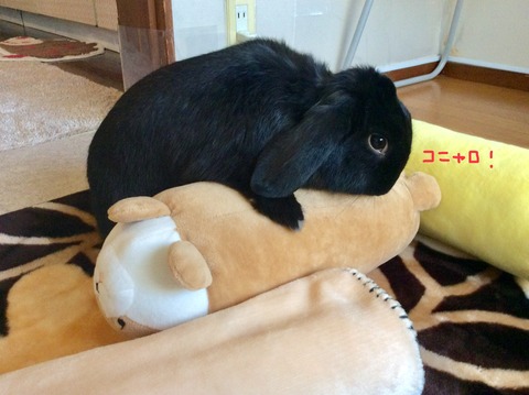 188AED28-F226-45CC-B383-FD303BA060A0