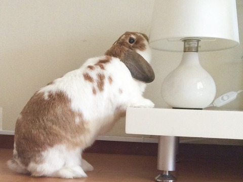 F9857F6C-BBA1-427B-B1BD-A3205F88C34E