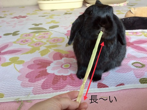 BAE08DE9-9E8F-4FD2-8146-644AAF4A815D