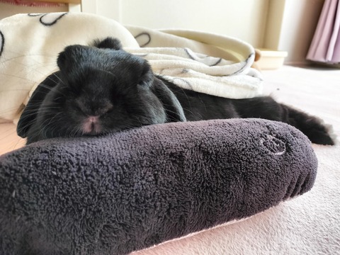 30B131F3-38CB-45EE-ADEA-82EA6046E904