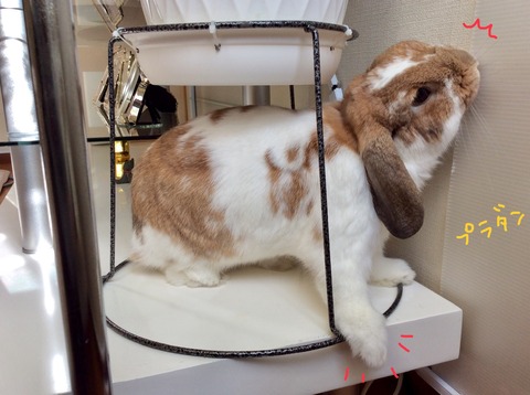 265B0ABF-E527-4C86-9CD5-8A8DE17B7A9A