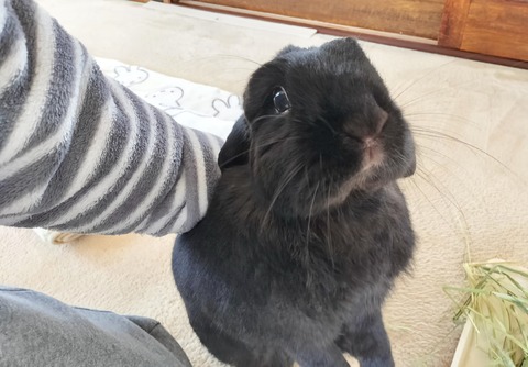 C167084A-B13C-4207-B212-8CA3E4FC500B