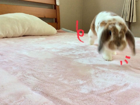 90263E07-152C-4E30-8EF0-11D03440F86F