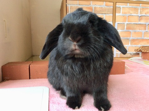 4E48FA49-59DA-42BF-AE21-81EAA106A71C