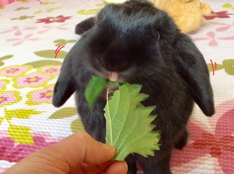 16830F3F-571E-4D8A-9663-D9AD71DB0194