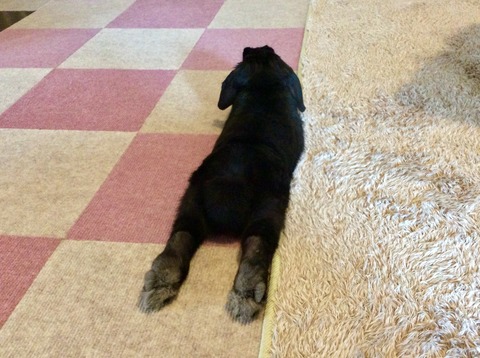 BA056941-DCD4-46C9-BFAC-A23BEDB9E2A9