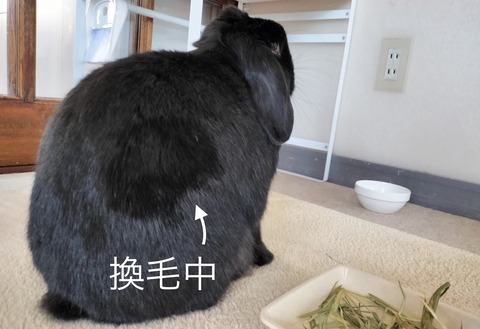 E540F113-93DD-4258-8E55-57CE56EF8DB9