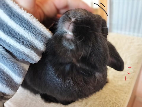 3A0B2448-B004-4755-A40E-8D1FEE2CE3A7