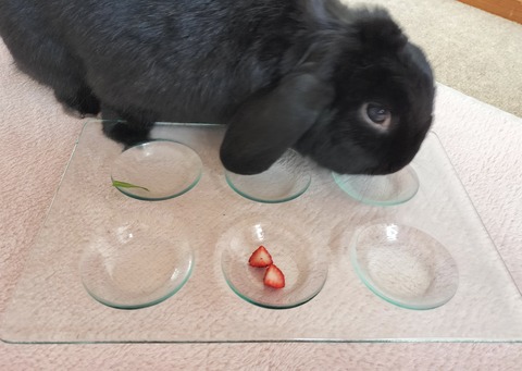 71D17D30-02E9-4E05-B2ED-3FDE3C32798D