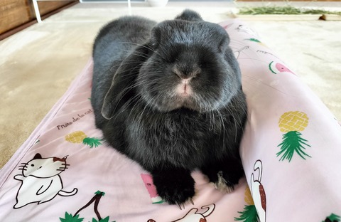 2960CEAF-DCA2-4AD8-B47D-39A37B2A406D