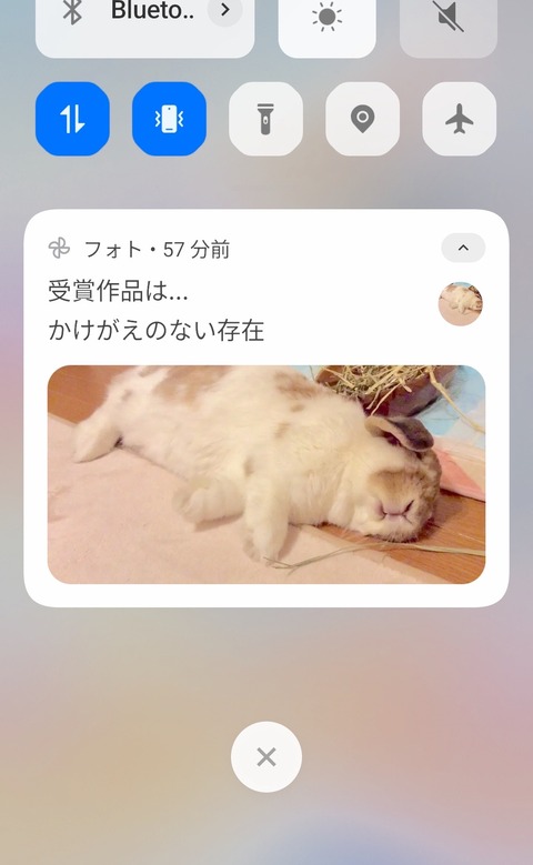 04A271BD-E9A0-4171-83B1-A36432A9BF21