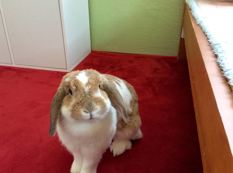 70EC42F9-EA30-43DE-BCE8-72AC065843D0