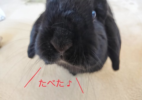 92A1B60D-FED3-4C4B-B9EF-C77E06B1C373