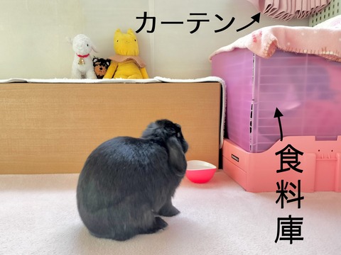 DAA93CEF-2DC9-4326-BFAF-E5EA228CBC0A