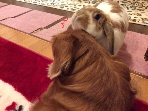 90F89C6F-3BB0-4C02-8185-E748A32F12A4