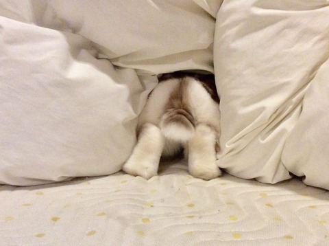 65852E1C-4E4D-473C-B862-1EE967050417