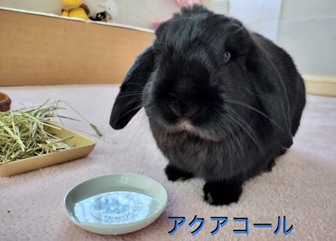 6E79B485-379D-43B9-845C-9C31B7476462