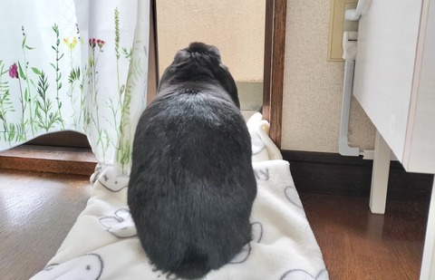 6ACDF371-1D36-499B-889A-16D01E49239C