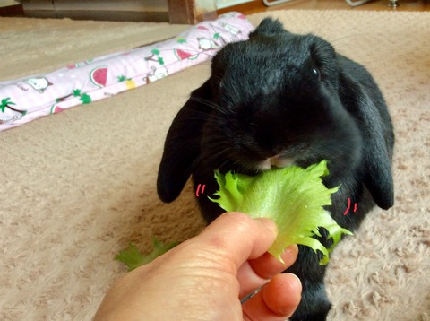 B7D3B95A-1E1E-4645-95FD-2EC750177E35