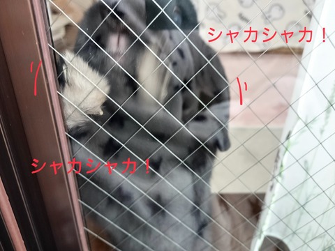 F83A1578-F2DB-483D-8587-201A8AB8C1DF