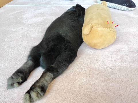 C9F93B61-F416-4592-ACC5-61461FB343AC