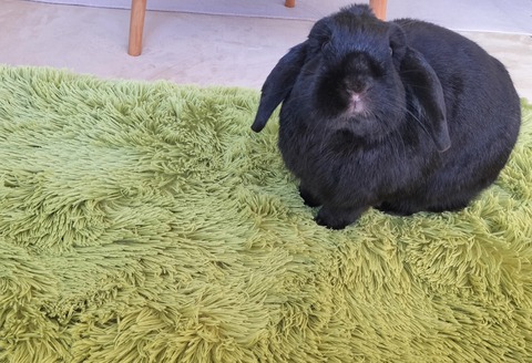 15F5D1CC-1948-46A1-A428-277F5C84CDB0