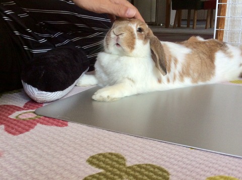 D6321524-31F3-4DF9-939C-A888D08A2ADC