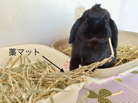 1372649D-6B70-4421-B12A-2E33121D70A7