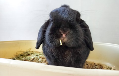 E1703AA9-B1B0-43F1-A55C-FE89C03512B2