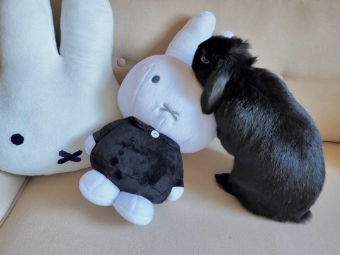 8680685F-AC88-4CBC-9BD1-EBD2C48D07CC