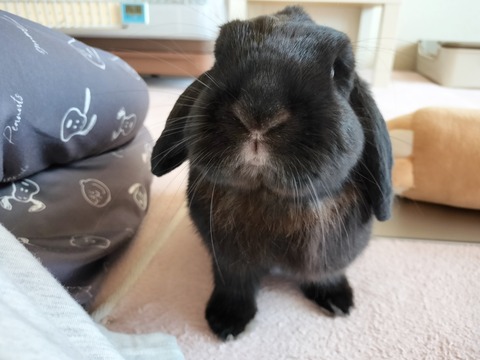 52B79B99-86E9-436D-9F83-6E1836270D12