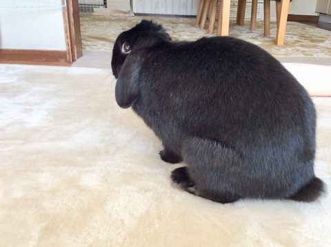 CBF65423-7E10-4D35-AEC0-69AD25DA41F0