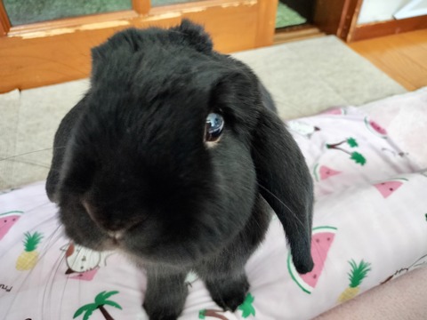 A23C71A9-9957-4EAB-9693-1703CE4BBB1B