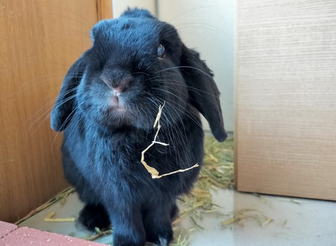 9D34DD04-6118-4C40-ABDD-784E39E0CAC5