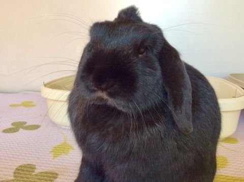 E56E53DA-F43D-45EF-95F0-9B11D1E30BE3