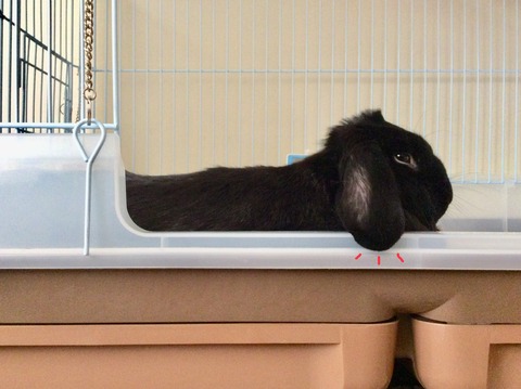 465727E4-2025-4977-A125-EDDE654FCC03