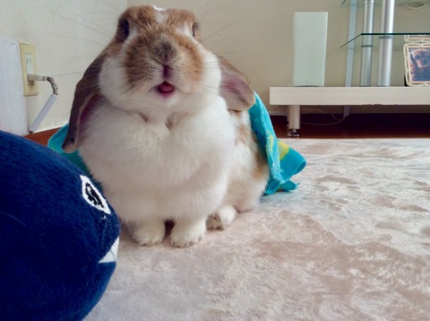 D8A9AF28-6D5E-44CA-84EB-CB92C36D3880