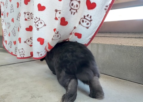 0274876E-DEFA-4050-A353-E286CE508AE8